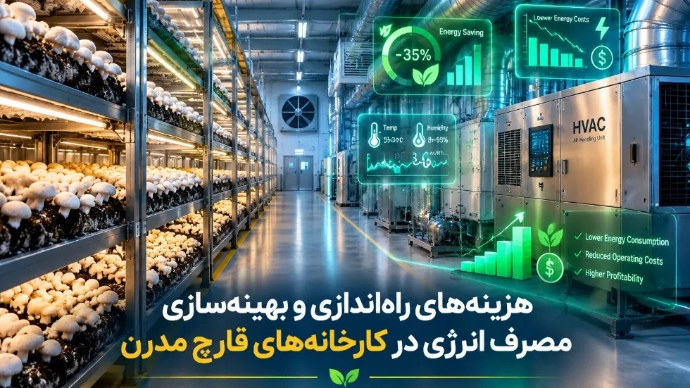 هزینه‌ راه‌اندازی و بهینه‌سازی مصرف انرژی در کارخانه‌ های قارچ مدرن