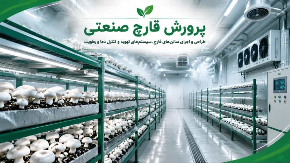 هزینه‌ ساخت و راه‌اندازی کارخانه صنعتی قارچ در تهران